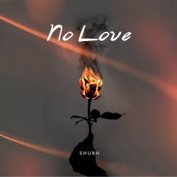 No Love Shubh Mp3 Song