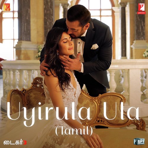 Uyirula Ula (Tiger 3) Mp3 Song Download
